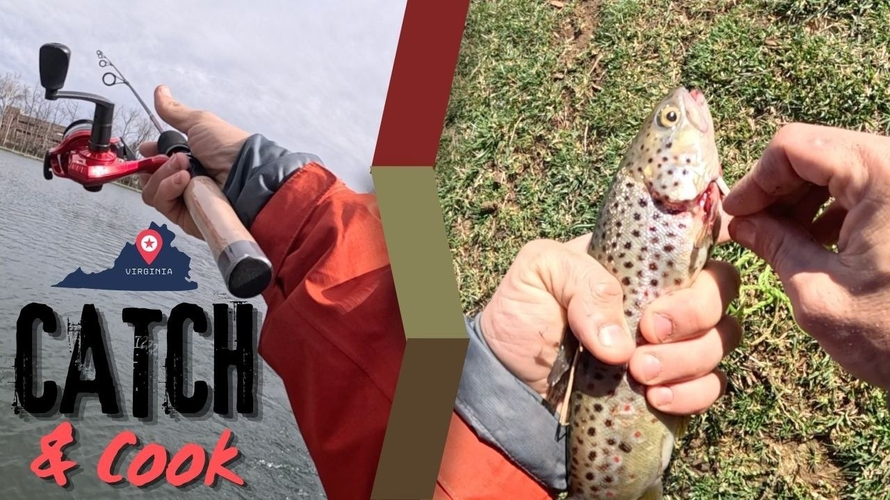 Virginia Trout Catch & Cook (Simple Backyard Meal) thumbnail